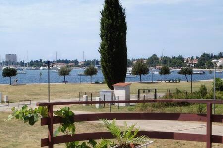 Murin Delfin Umag Exterior foto