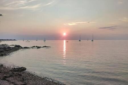 Murin Delfin Umag Exterior foto